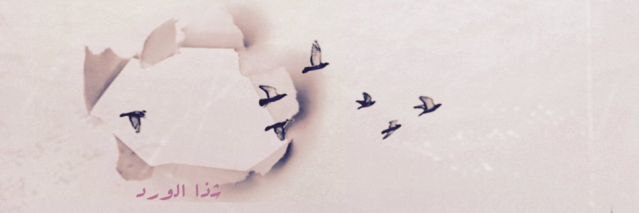 1Nl__'s profile banner image