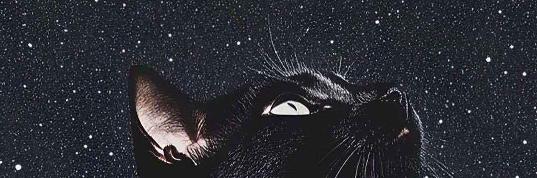 irafasantoss's profile banner image