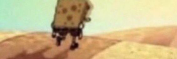 Taylieboy banner