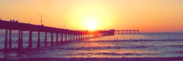 Vanessa Shaffer banner