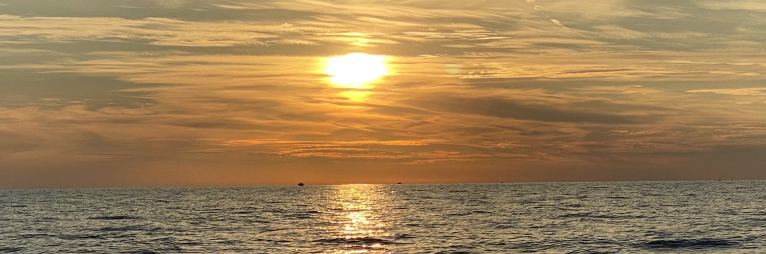 redmmbell's profile banner image