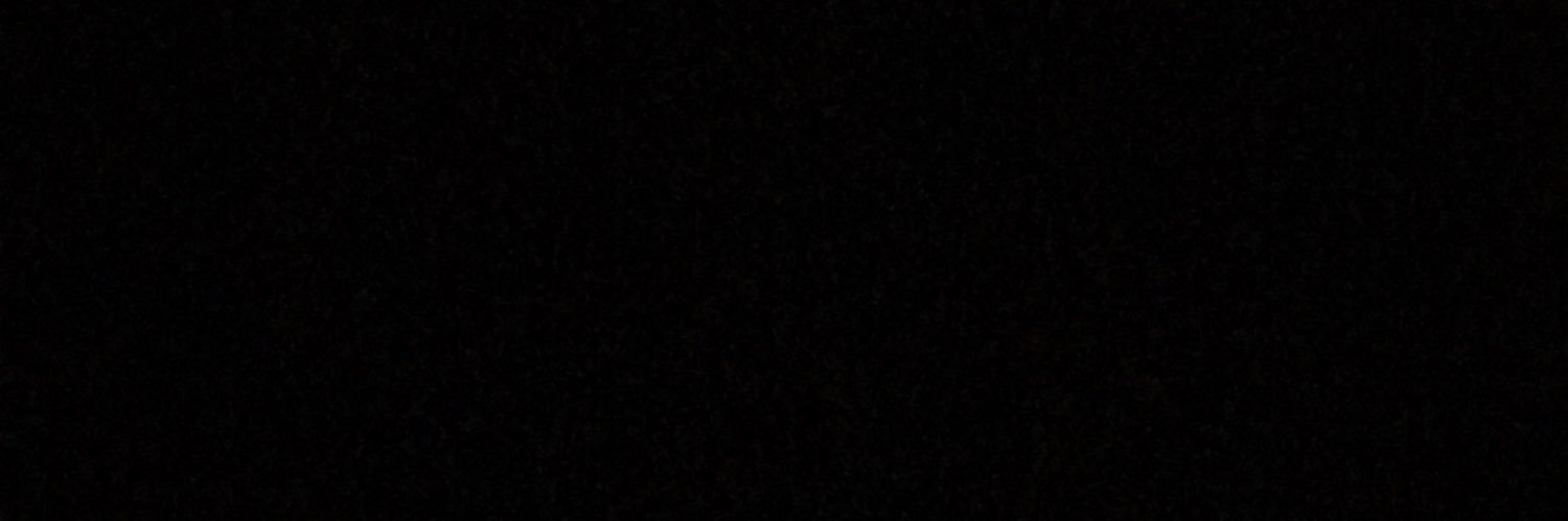 liv_torres's profile banner image