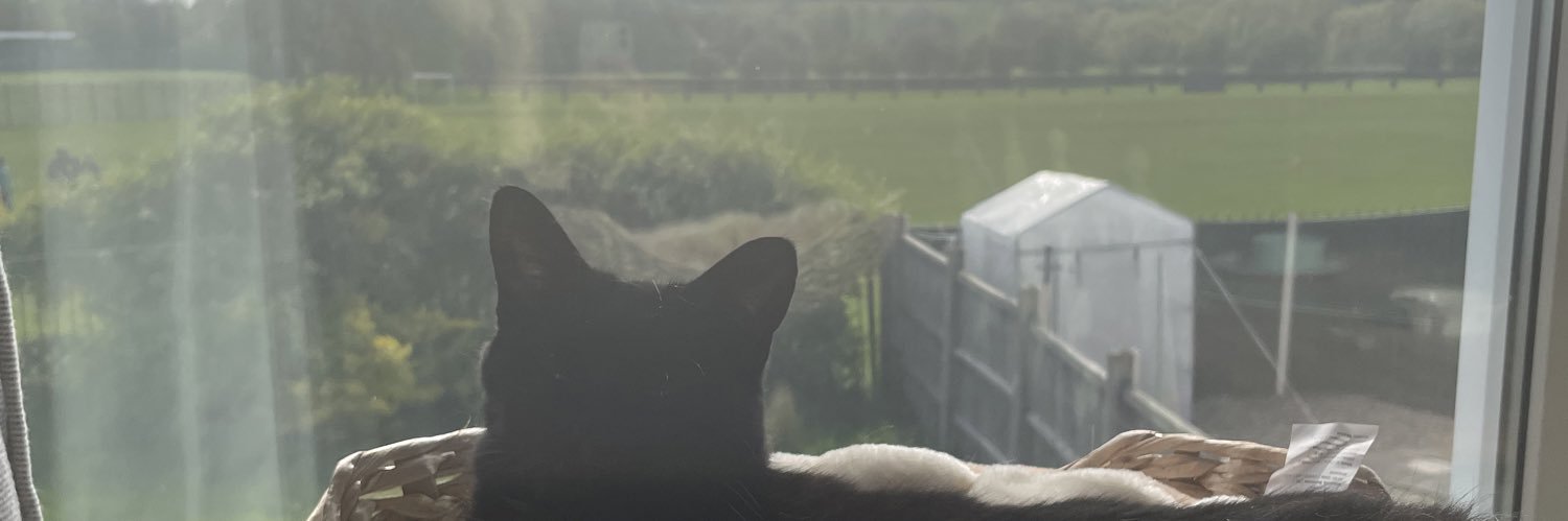 K3Z1CH's profile banner image