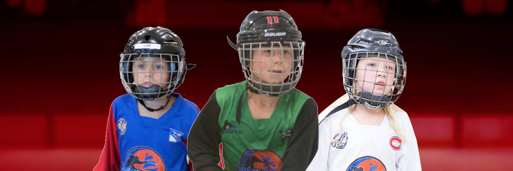 southsimcoebhl's profile banner image