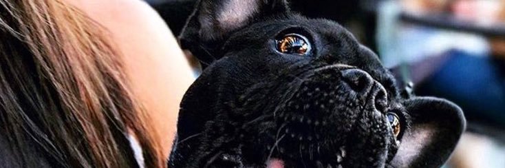 BlakeShinn_'s profile banner image