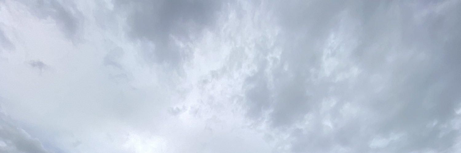 RenataPreciado's profile banner image