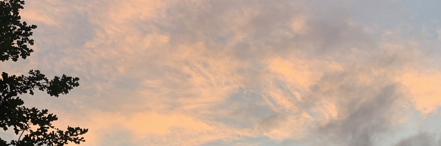 SummerPlatt_'s profile banner image
