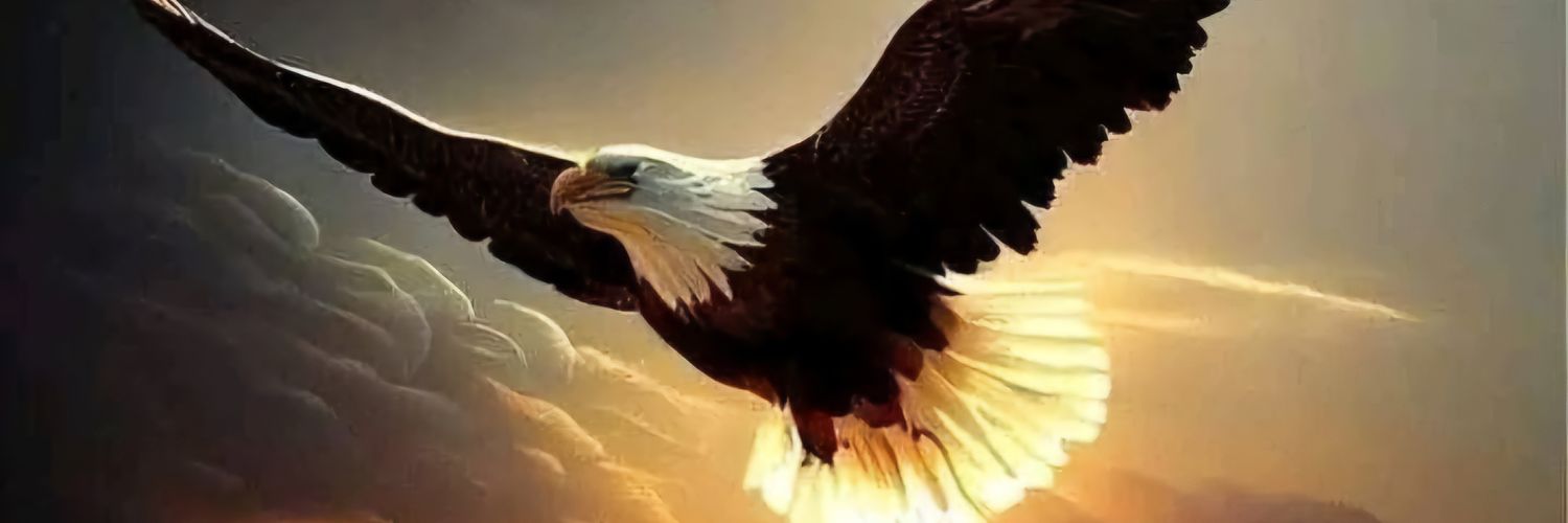 mahfiz4ever's profile banner image