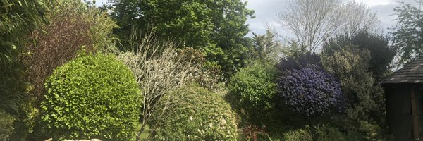 ydaryani Profile Banner