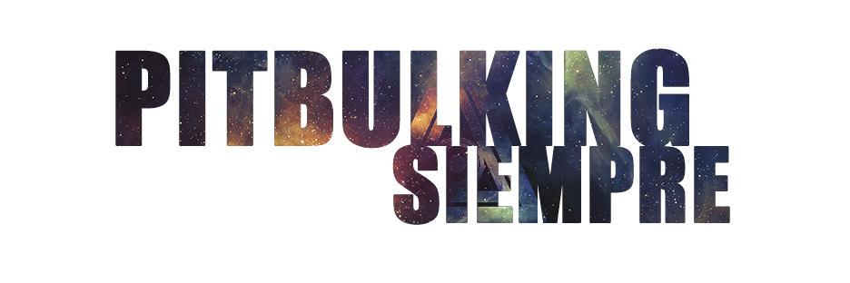 PitbulkingOne's profile banner image
