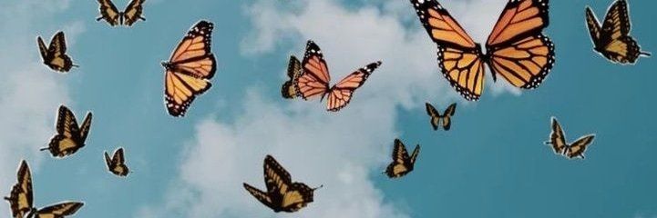beluzilli's profile banner image