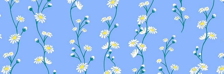 EmilyKnuckles's profile banner image