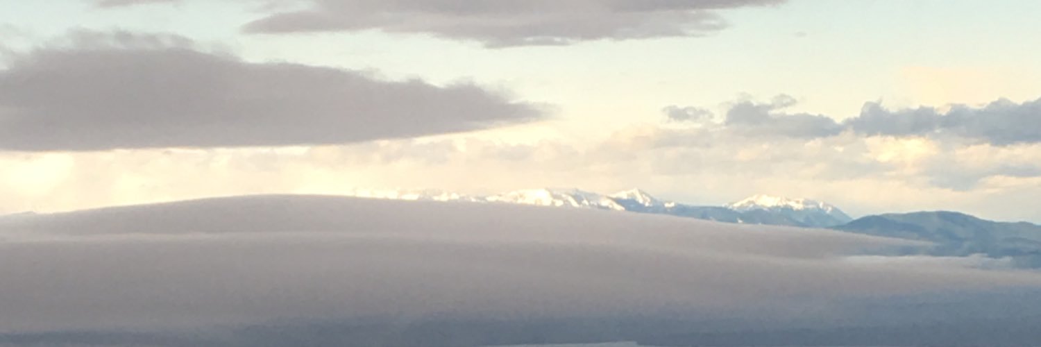 ParrottDise's profile banner image