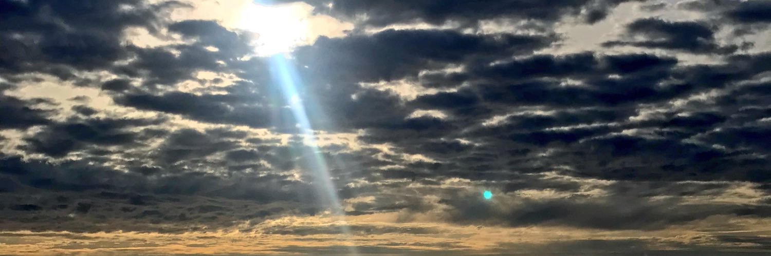 Tay_mckenna's profile banner image