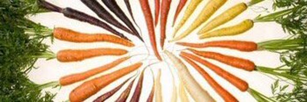 devegetarier Profile Banner