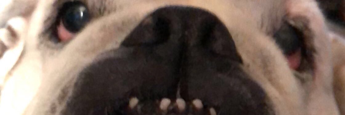 Vic_Jane14's profile banner image