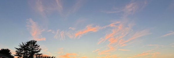 CadeSoChic Profile Banner