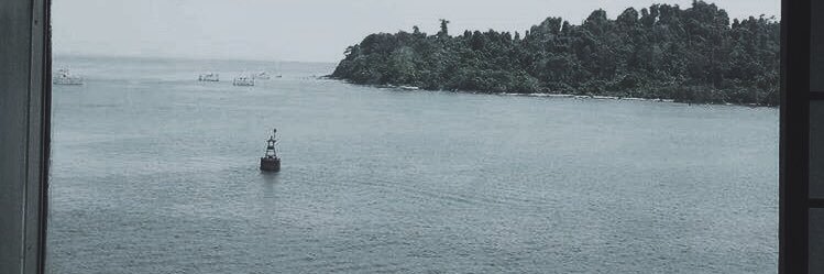 faisaljar's profile banner image