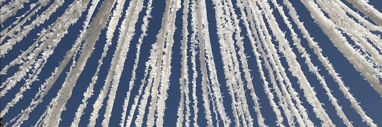 Izzi Daly ❄️ banner