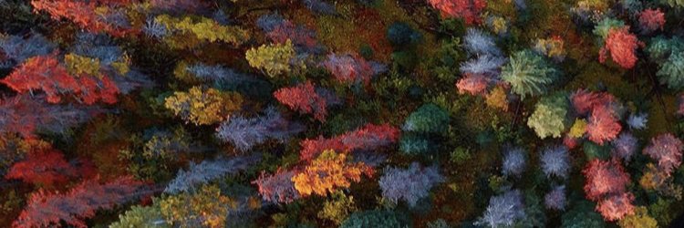 TerriWeeks2's profile banner image
