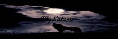 AllyKat229's profile banner image