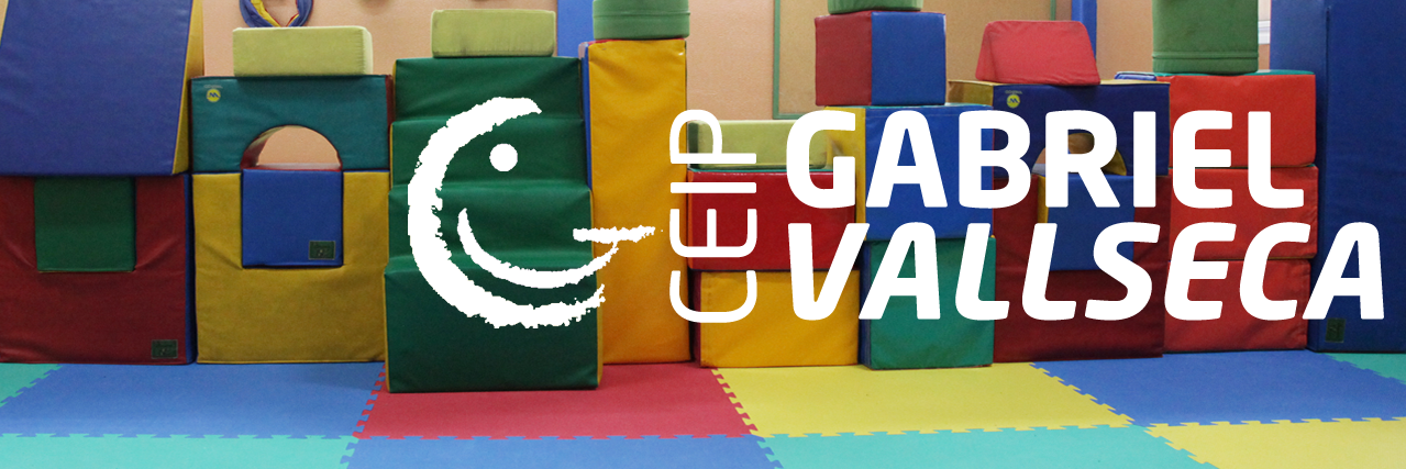 CEIP GabrielVallseca banner