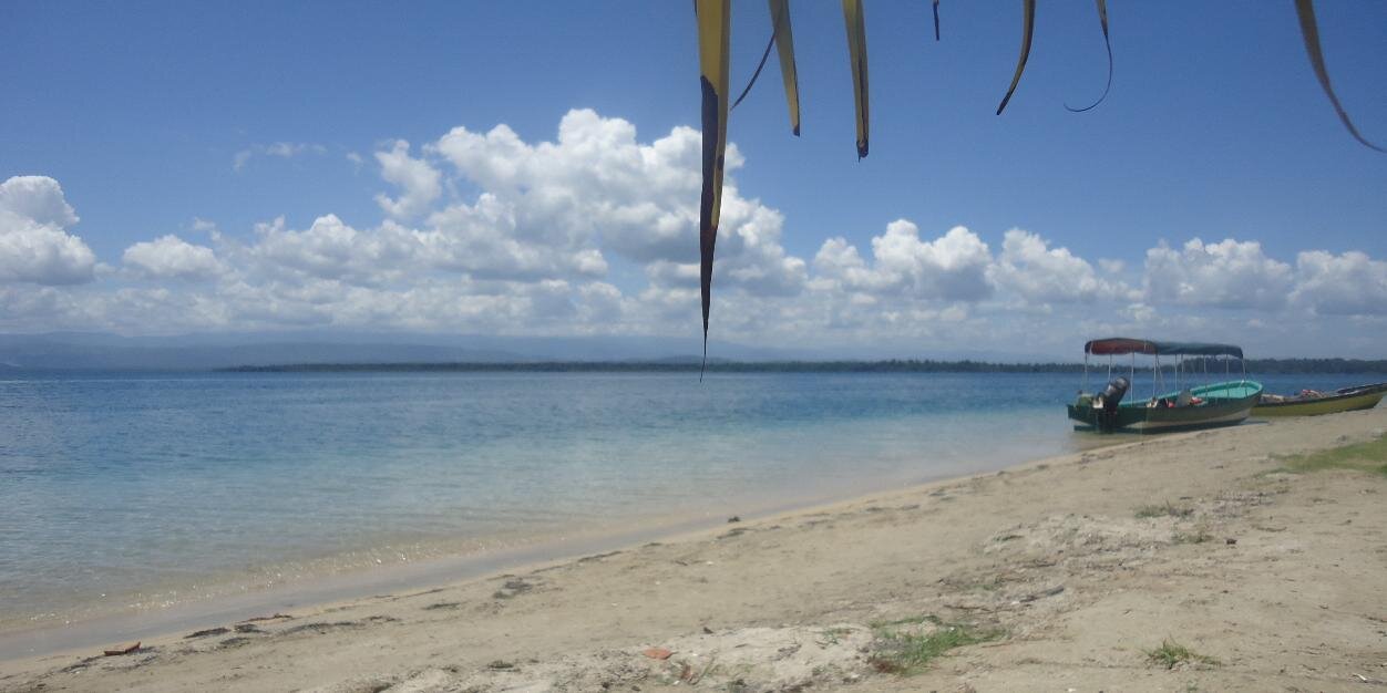 Ariela  Abade banner