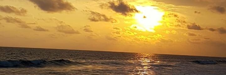 Robertsibri's profile banner image