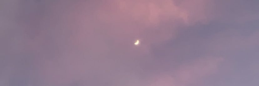desiinaranjo's profile banner image