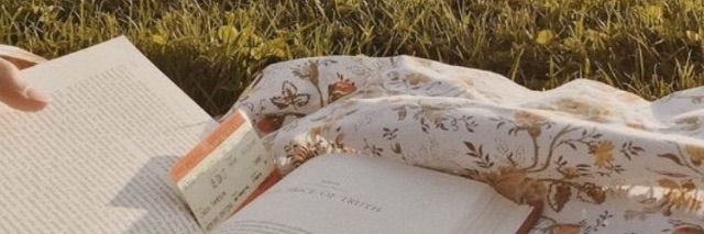 diannamelo's profile banner image