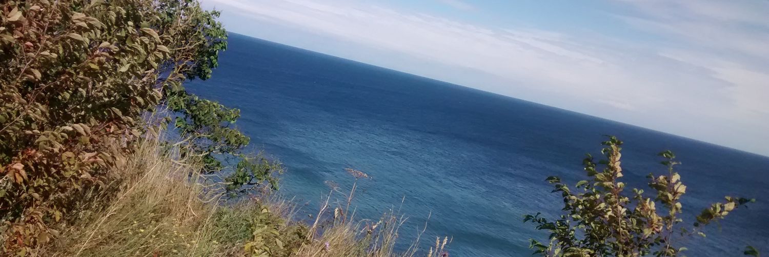 Luoke_yt's profile banner image