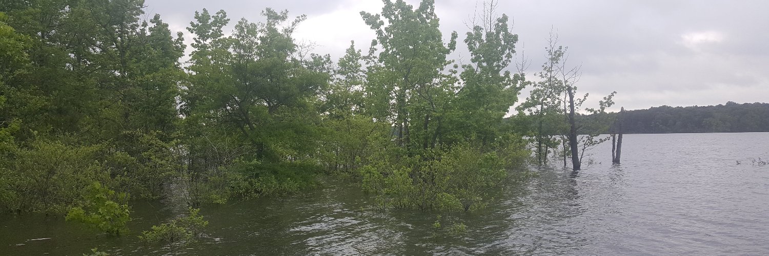 PlugKnocker's profile banner image