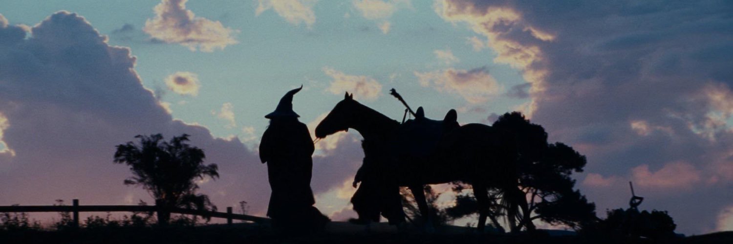 maribolseira's profile banner image
