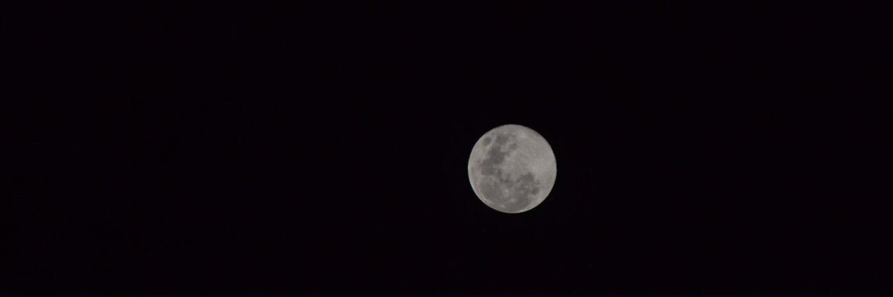 siaer19's profile banner image