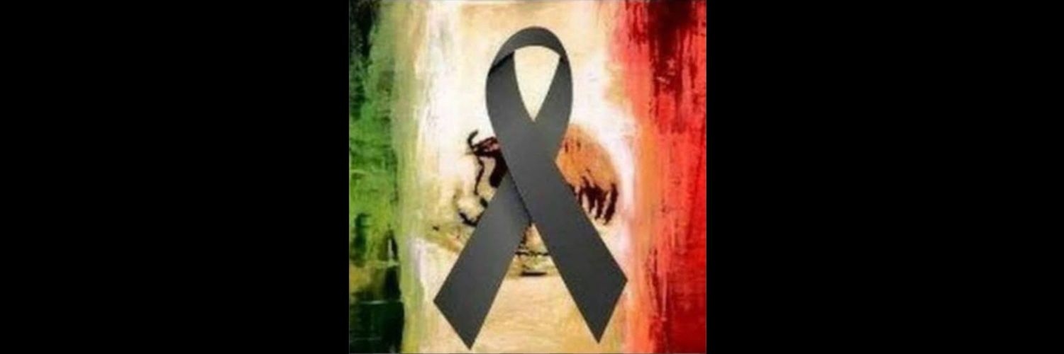 rousetrevino's profile banner image