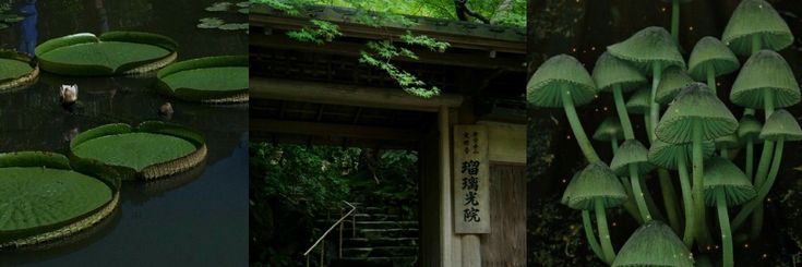 leewochee's profile banner image