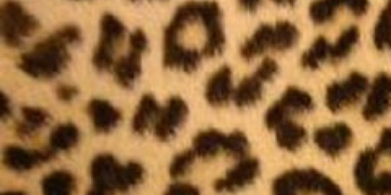 Erinzees_25's profile banner image