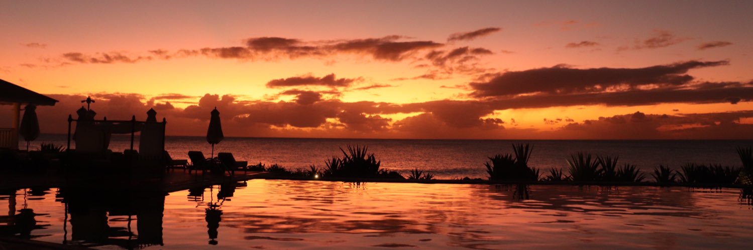 ηoαhκoαlα banner