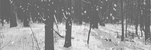 CourageousMinor's profile banner image