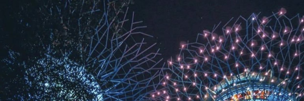 Alina Rupio ☺️ banner