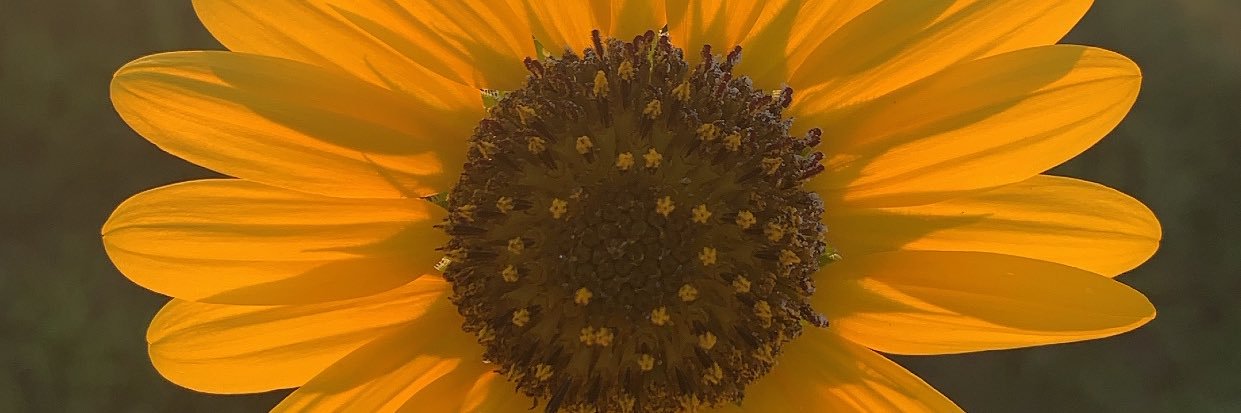 kayvaladez's profile banner image