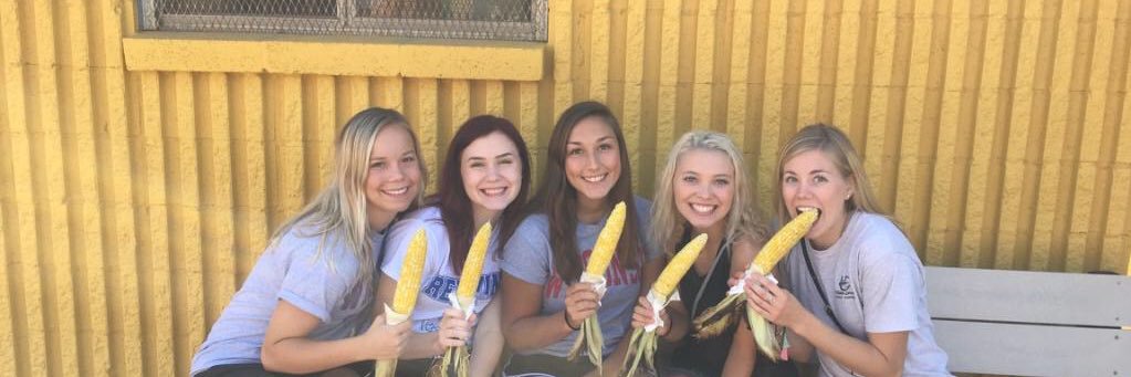 chyann_schmidt's profile banner image