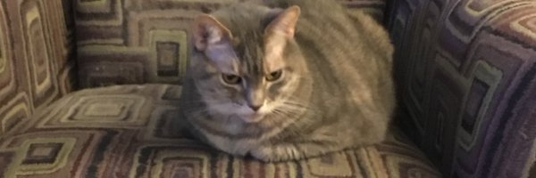 bourne0513 Profile Banner