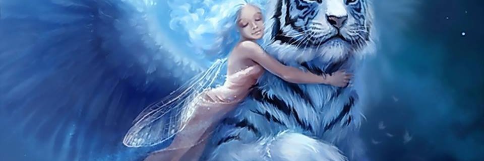 kandy_kristal banner