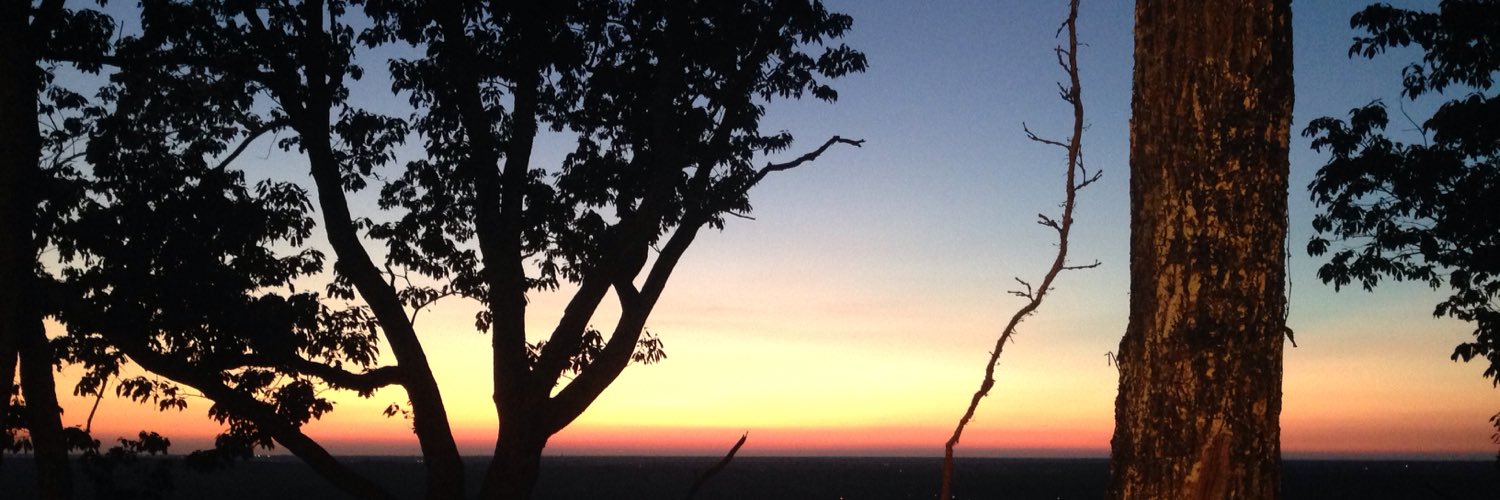 Leonardo Gaspar banner