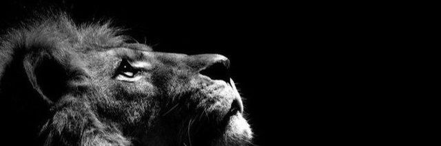 أبو معاذ banner