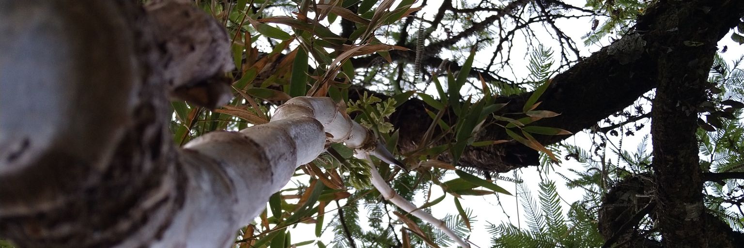 paco_batista's profile banner image