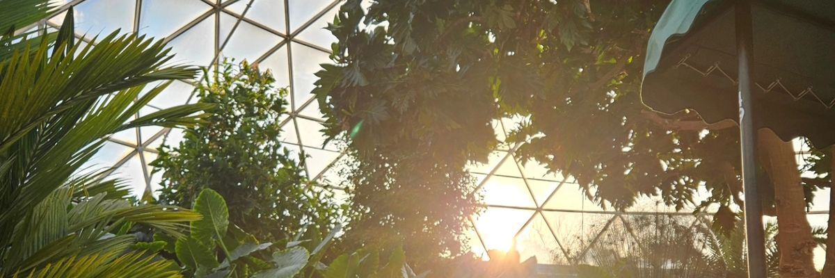 JSPooleIII's profile banner image