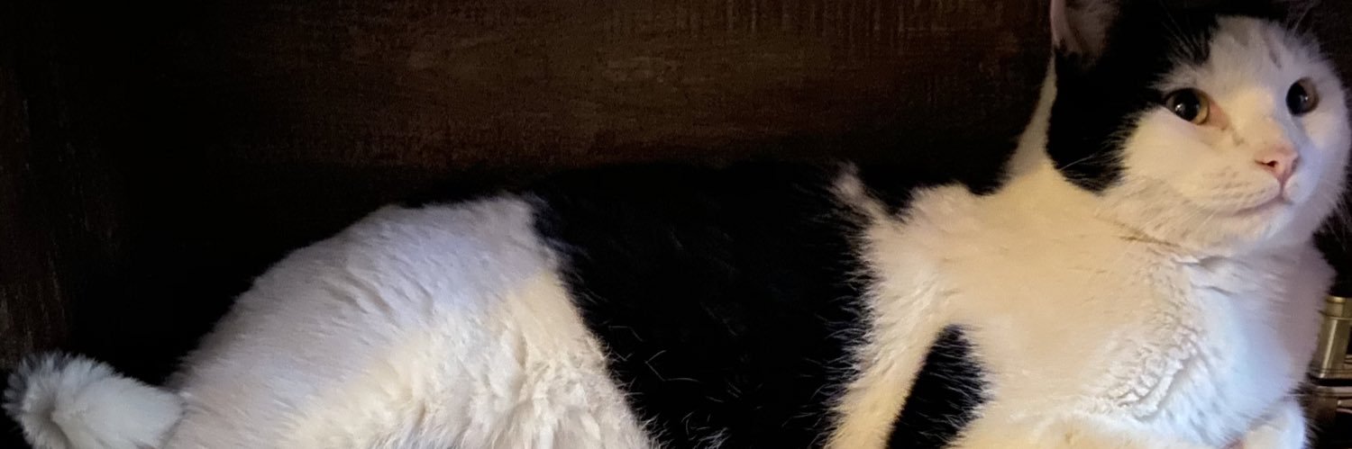 NewWokeOrder's profile banner image