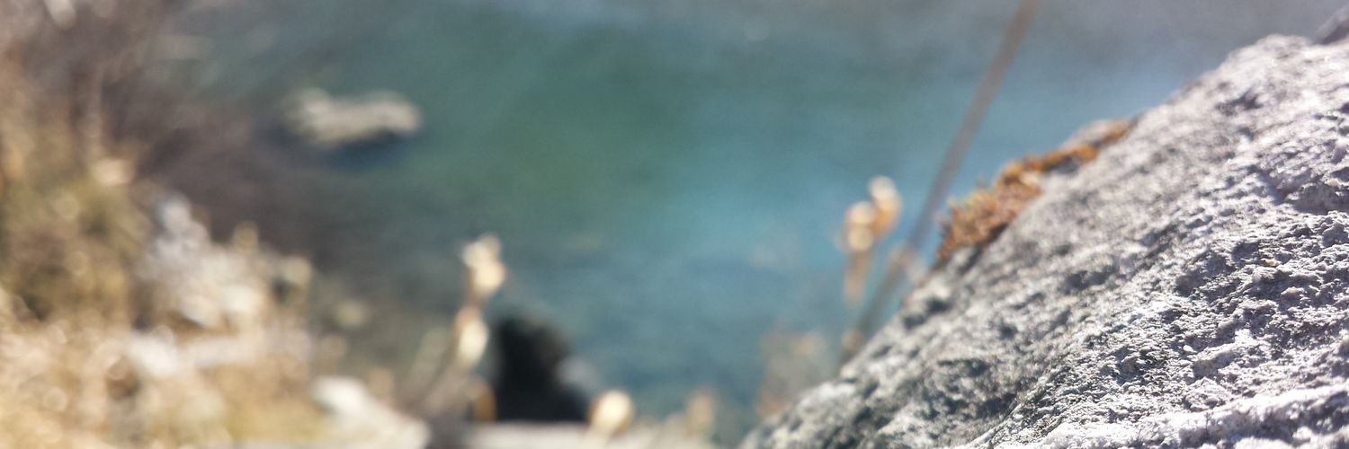 HarleenKaur_D's profile banner image